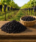 Hasır sepette güneşte kurutulmuş doğal Özbek Üzümü