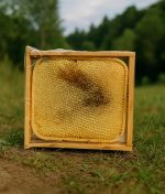 Kaymak ile Karakovan Petek Balı kahvaltılık sunumu