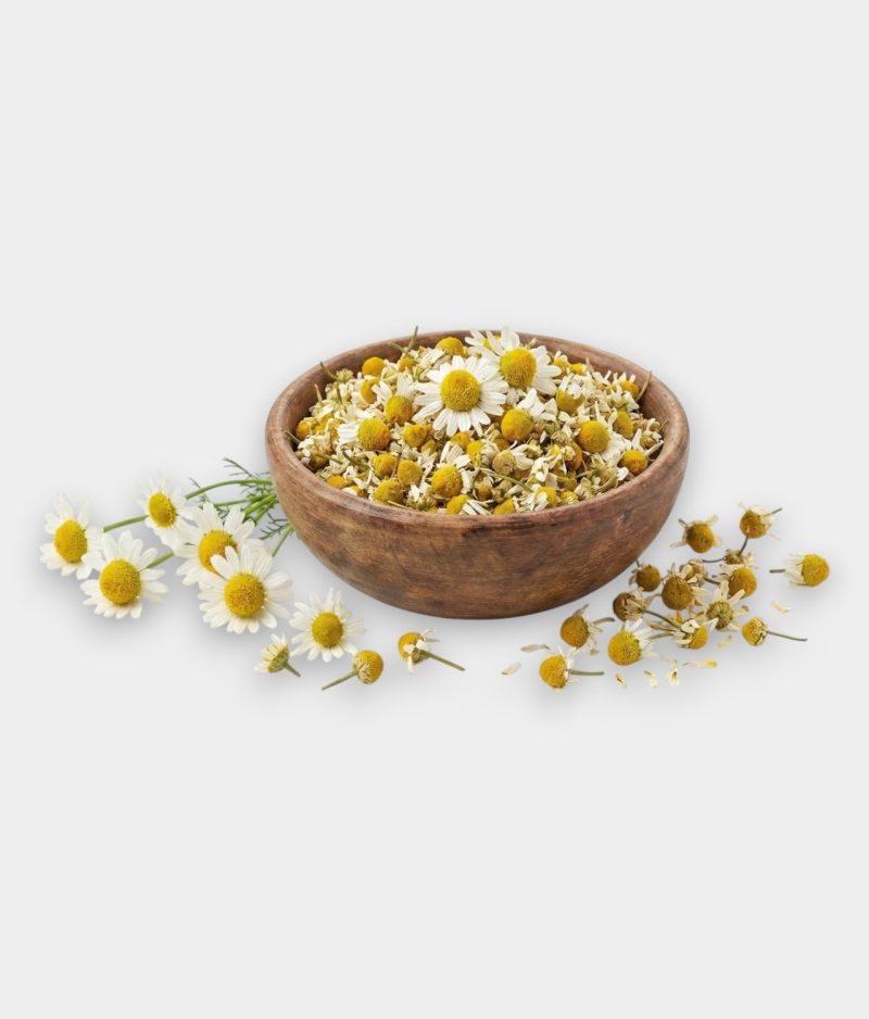 Mayıs Papatyası Fiyatı Kurutulmuş Mayıs Papatyası (Doğal Papatya Çayı)